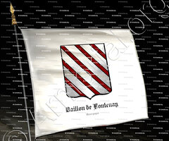 drapeau-BAILLON de FONTENAY_Bourgogne_France