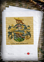 velin-d-Arches-STÜCKELBERGER_Wappenbuch der Stadt Basel . B.Meyer Knaus 1880_Schweiz 