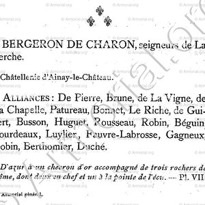 BERGERON_Armorial du Bourbonnais (Cte G. de Soultrait, 1890)_France (ii)
