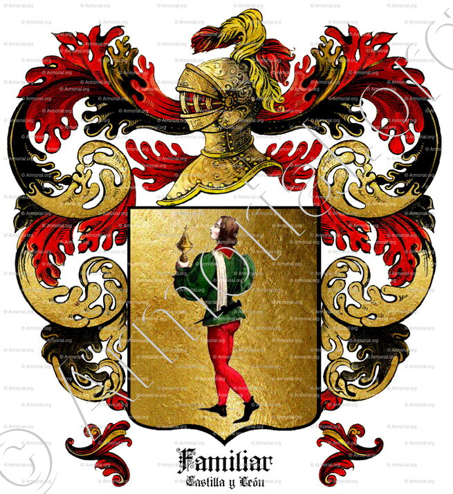 FAMILIAR_Castilla y León_España (ii)