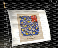 drapeau-PELLEGARDE_Noblesse d'Empire._France
