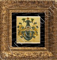 cadre-ancien-or-STUDER_Wappenbuch der Stadt Basel . B.Meyer Knaus 1880_Schweiz 