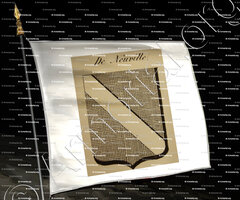 drapeau-DE NEUVILLE_Auvergne_France (2)