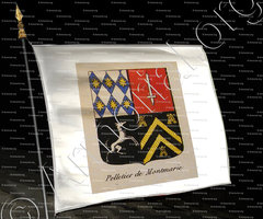 drapeau-PELLETIER DE MONTMARIE_Noblesse d'Empire._France