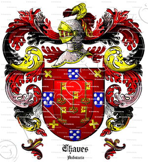 CHAVES_Andalucía_España (iv)