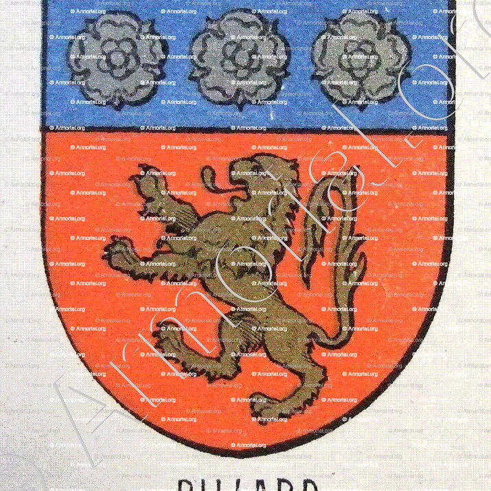 BILLARD_Bourbonnais_France (iii)