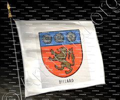 drapeau-BILLARD_Bourbonnais_France (iii)