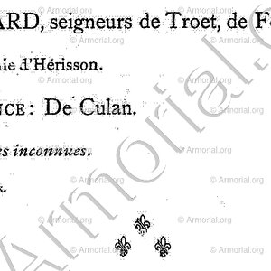 BILLARD_Armorial du Bourbonnais (Cte G. de Soultrait, 1890)_France (iii)