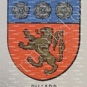 BILLARD_Bourbonnais_France (i)