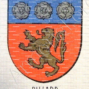 BILLARD_Bourbonnais_France (ii)