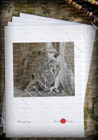 velin-d-Arches-Della ROVERE_ Giuliano della Rovere. Petit Palais, Avignon._France