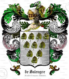 De SALENGRE