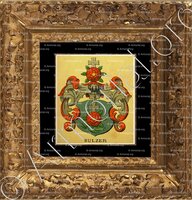 cadre-ancien-or-SULZER_Wappenbuch der Stadt Basel . B.Meyer Knaus 1880_Schweiz 