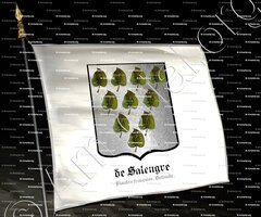drapeau-de SALENGRE_Flandre française, Hollande._France, Pays-Bas.