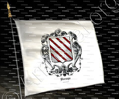 drapeau-ASEWYN_Gelderland_Nederland (1)