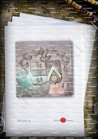 velin-d-Arches-SOLANET_gravure sur theiere  en argent aux armes Solanet (17e-18e s.)_France