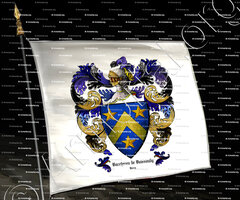 drapeau-BAUCHERON de BOISSOUDY_Berry_France (ii)