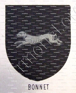 BONNET