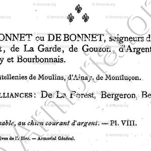 BONNET_Armorial du Bourbonnais (Cte G. de Soultrait, 1890)_France (ii)