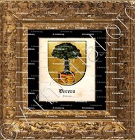 cadre-ancien-or-PERERA_Asturias_España (2)+