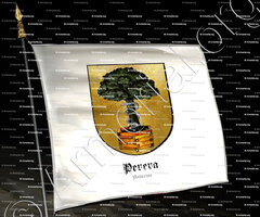 drapeau-PERERA_Asturias_España (2)+