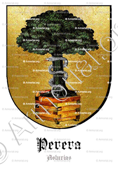PERERA_Asturias_España (2)+