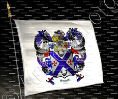drapeau-BONALDI_Venezia_Italia ()