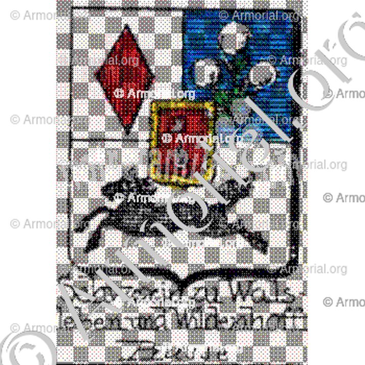 Schwerin zu Wals_ leben und Wildenhoff_ 