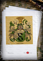 velin-d-Arches-TESTER_Wappenbuch der Stadt Basel . B.Meyer Knaus 1880_Schweiz 