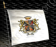 drapeau-Van den Brule_Flandre Orientale. Anoblie 1654. Comte van den Brule._Belgique (7)