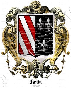 BETIN