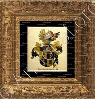 cadre-ancien-or-THURNEISEN_Wappenbuch der Stadt Basel . B.Meyer Knaus 1880_Schweiz 