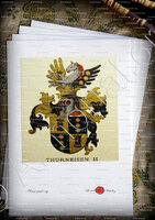 velin-d-Arches-THURNEISEN_Wappenbuch der Stadt Basel . B.Meyer Knaus 1880_Schweiz 