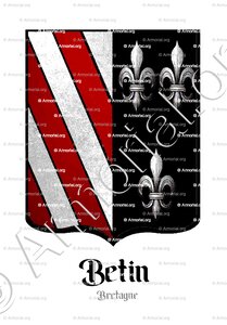 BETIN
