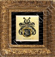 cadre-ancien-or-THURNER_Wappenbuch der Stadt Basel . B.Meyer Knaus 1880_Schweiz 