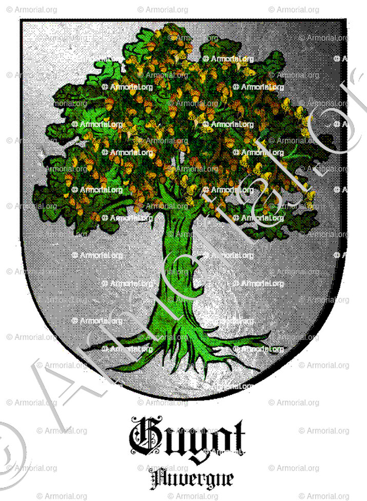 GUYOT_Auvergne_France (1)