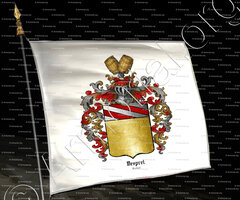 drapeau-DESPRET_Brabant_Belgique (1) copie