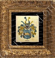 cadre-ancien-or-TREU_Wappenbuch der Stadt Basel . B.Meyer Knaus 1880_Schweiz 