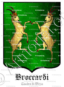 BROCCARDI