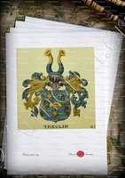 velin-d-Arches-TREULIN_Wappenbuch der Stadt Basel . B.Meyer Knaus 1880_Schweiz 