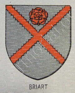 BRIART
