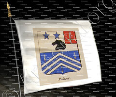 drapeau-POINSOT_Baron de Chansac. Empire._France