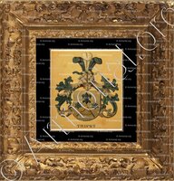 cadre-ancien-or-TRIPET_Wappenbuch der Stadt Basel . B.Meyer Knaus 1880_Schweiz 