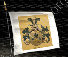 drapeau-TRIPET_Wappenbuch der Stadt Basel . B.Meyer Knaus 1880_Schweiz 