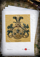 velin-d-Arches-TRIPET_Wappenbuch der Stadt Basel . B.Meyer Knaus 1880_Schweiz 