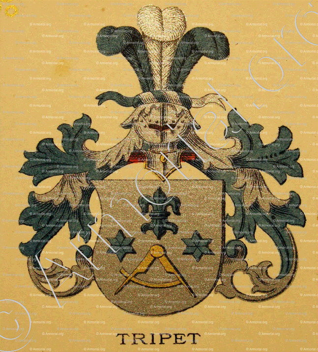 TRIPET_Wappenbuch der Stadt Basel . B.Meyer Knaus 1880_Schweiz 