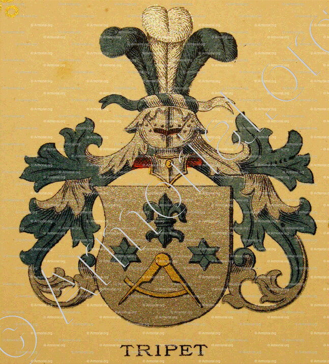 TRIPET_Wappenbuch der Stadt Basel . B.Meyer Knaus 1880_Schweiz 