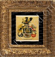 cadre-ancien-or-TRÜDINGER_Wappenbuch der Stadt Basel . B.Meyer Knaus 1880_Schweiz 