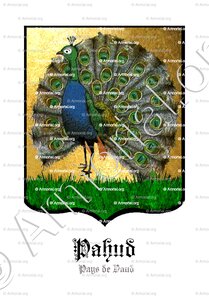 PAHUD