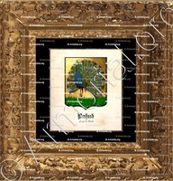 cadre-ancien-or-PAHUD_Pays de Vaud._Suisse (2)